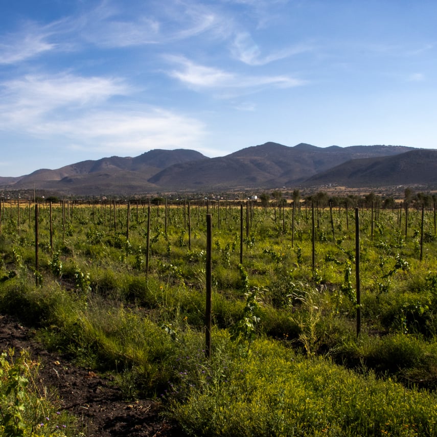 LSV - Fotos Sitio Web-07